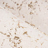 Marmor Teppich - Botticino 225 Creme Gold - thumbnail 3