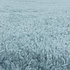 Hochflor Teppich - Fuzzy Hellblau - thumbnail 4