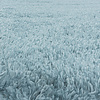 Hochflor Teppich Rund - Fuzzy Hellblau - thumbnail 1